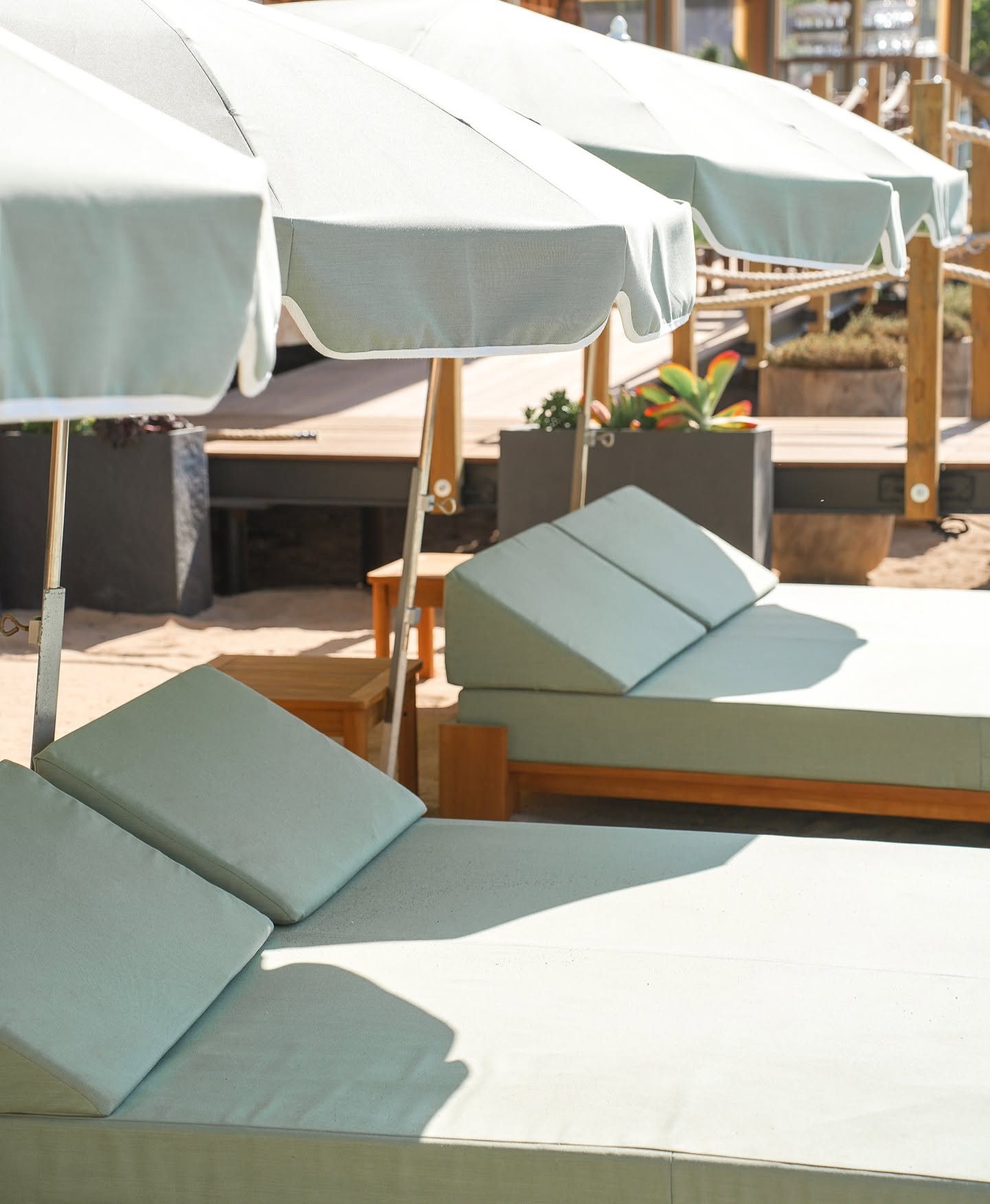 Transats et coussins sauge sur la plage