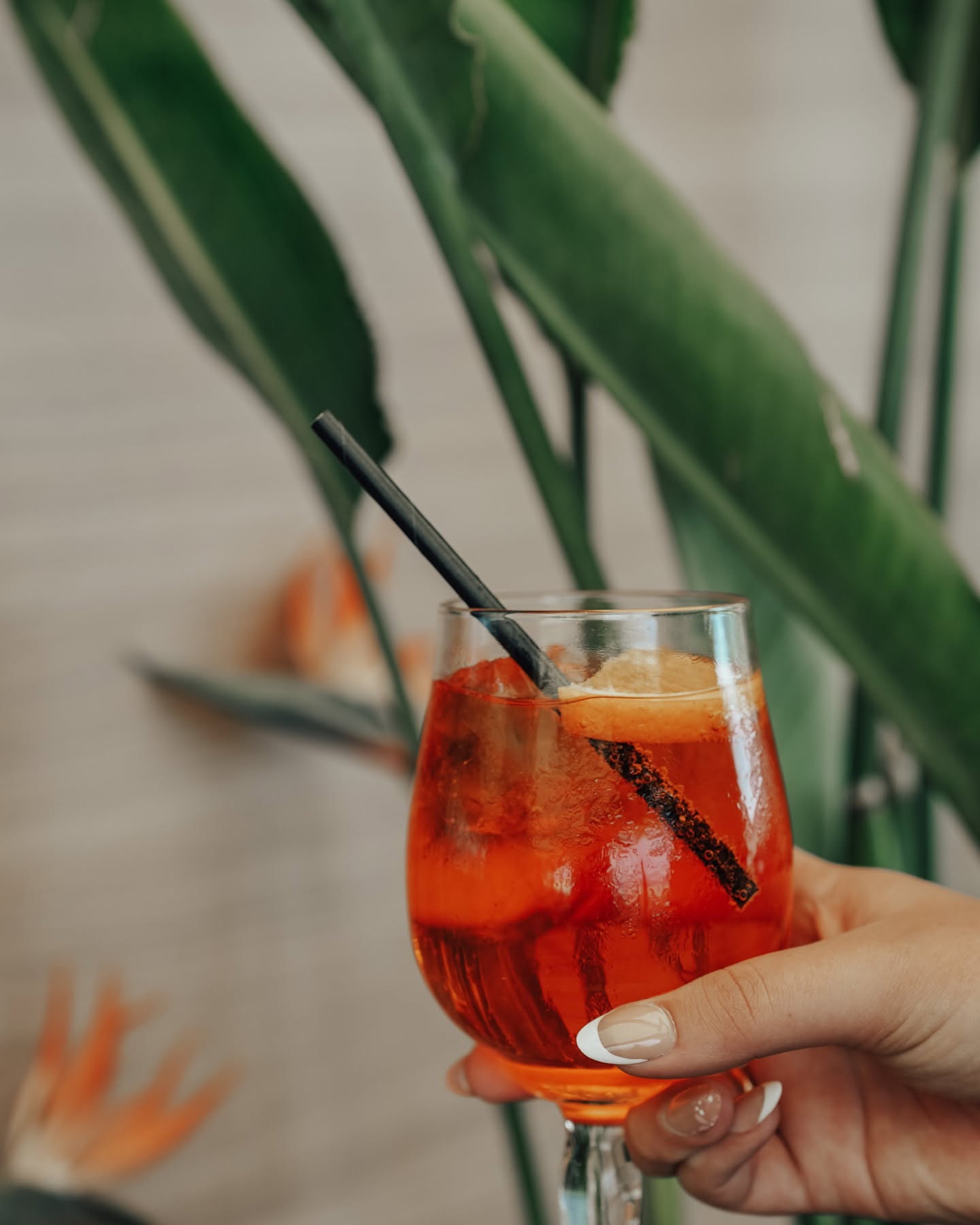 Aperol Spritz parmi les plantes tropicales