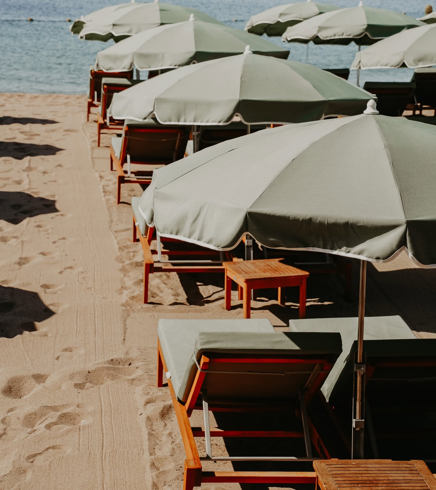 Rangée de parasols verts face à la mer