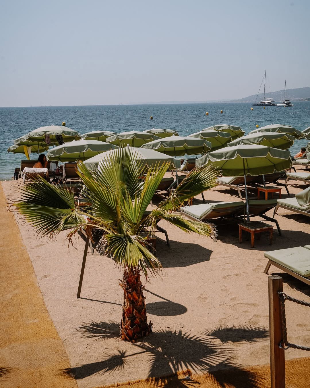 Plage privée et son palmier